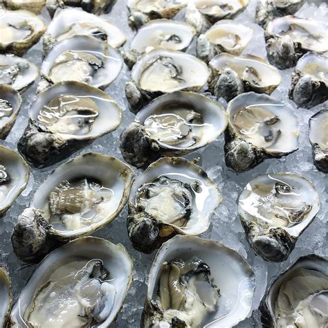 where to buy oysters near me.